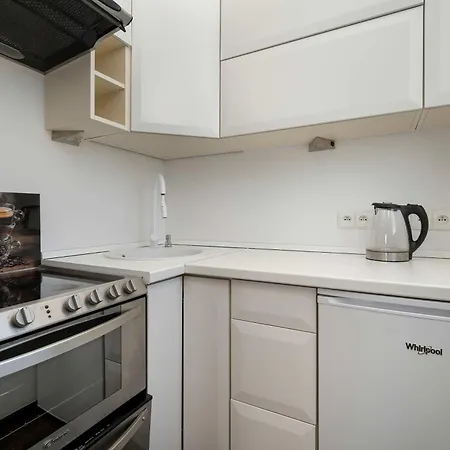 Bright Air-conditioned With Place For Remote Work By Renters فروتسواف